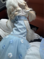 Custom Handmade Satin Tulle Dog Dress | Misty Blue