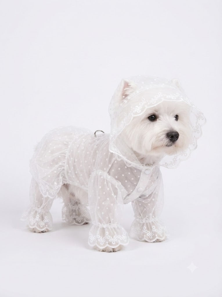 French Vintage Pure White Polka Dot Pet Raincoat | Romantic Lace Trimmed Waterproof Dog Rain Jacket