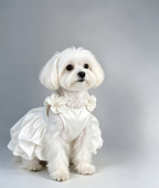 Custom-made handcrafted 3D satin dress