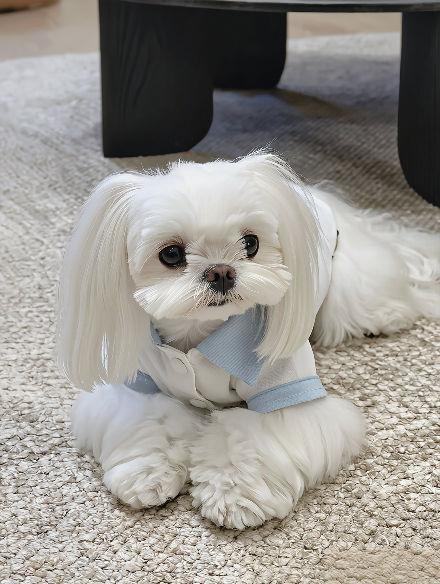 Breathable Linen Seersucker Dog Shirt for Dogs