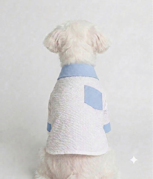 Breathable Linen Seersucker Dog Shirt for Dogs