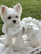 Custom Handmade Satin Dog Vest with Tulle Skirt