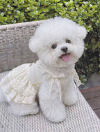 Tencel Linen & Pure Cotton Crochet Pet Dress