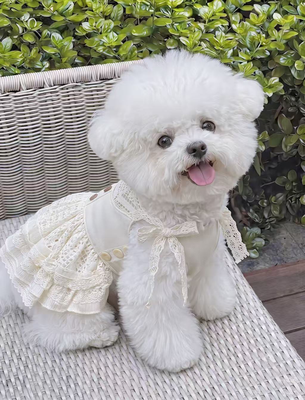 Tencel Linen & Pure Cotton Crochet Pet Dress