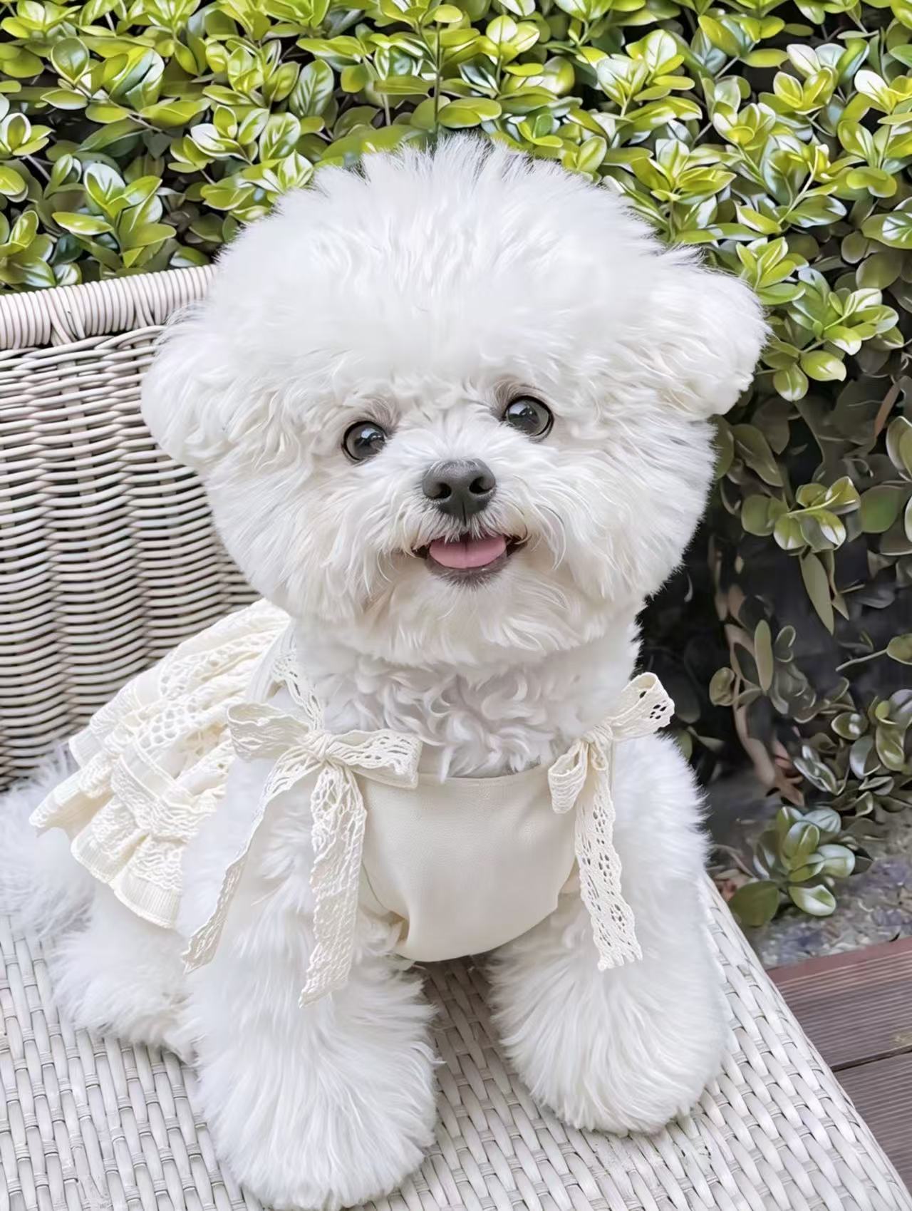 Tencel Linen & Pure Cotton Crochet Pet Dress