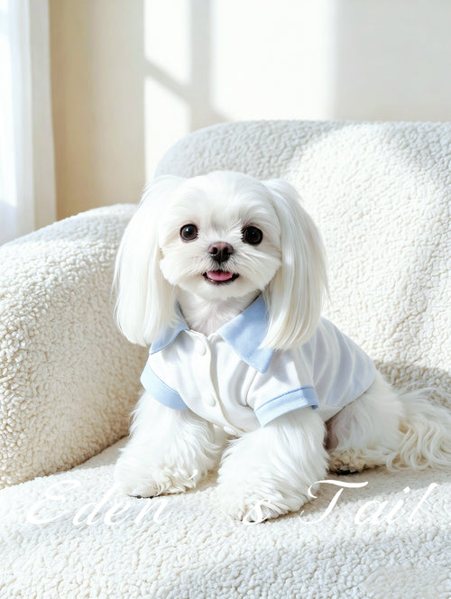 Breathable Linen Seersucker Dog Shirt for Dogs
