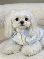 Breathable Linen Seersucker Dog Shirt for Dogs