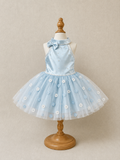 Custom Handmade Satin Tulle Dog Dress | Misty Blue
