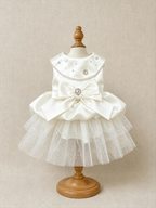 Custom Handmade Satin Dog Vest with Tulle Skirt