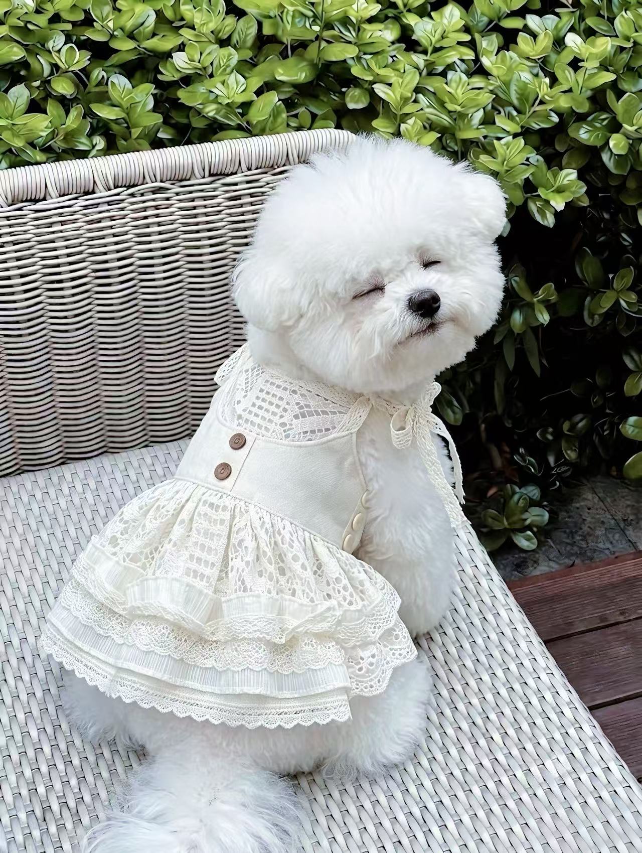 Tencel Linen & Pure Cotton Crochet Pet Dress