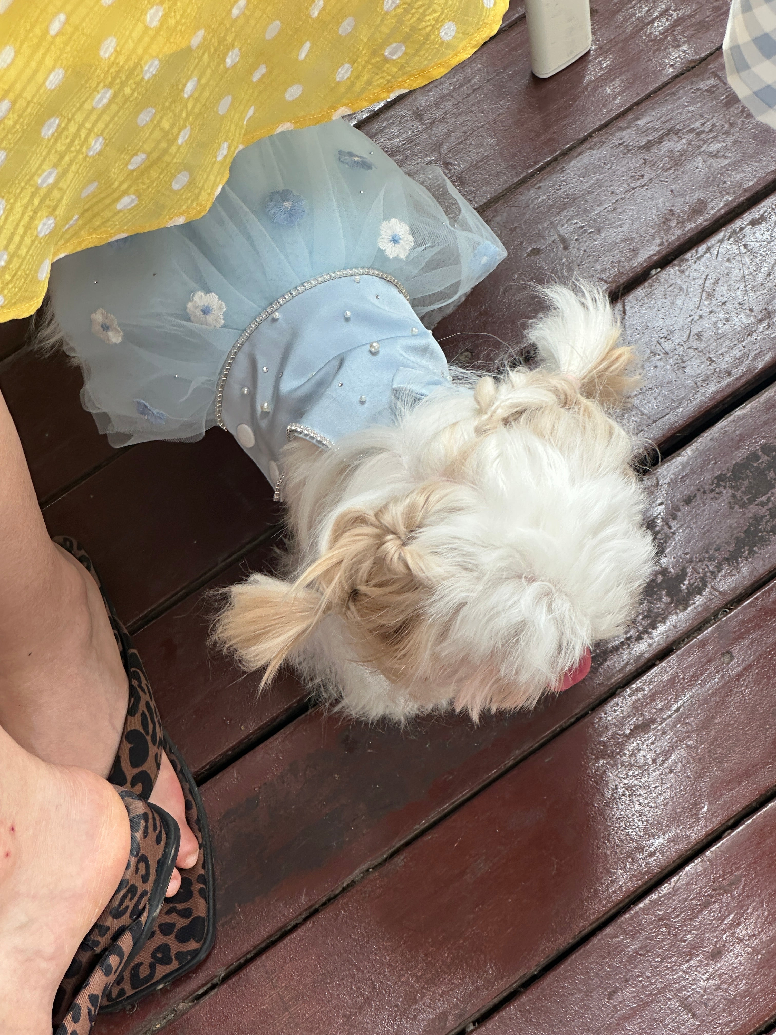 Custom Handmade Satin Tulle Dog Dress | Misty Blue