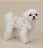 Linen & Cotton Lace Pet Vest