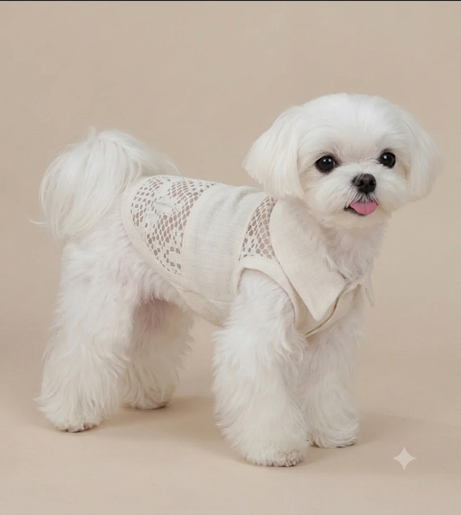 Linen & Cotton Lace Pet Vest